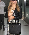 PARIS HILTON carries her Chihuahua at LAX Airport in Los Angeles