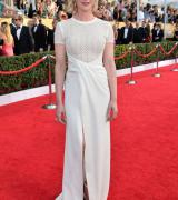 GRETCHEN MOL at 2014 SAG Awards in Los Angeles