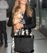 PARIS HILTON carries her Chihuahua at LAX Airport in Los Angeles