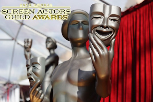 2014-screen-actors-guild-award