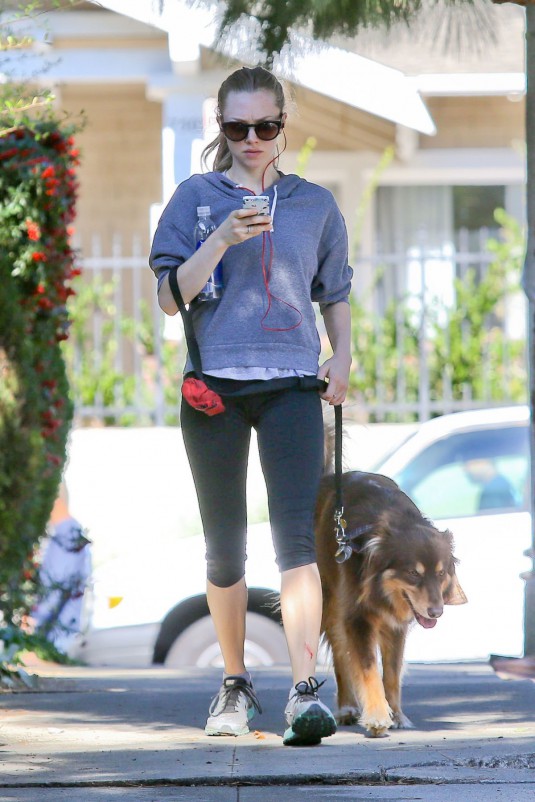 AMANDA SEYFRIED on the Morning Walk with Her Dog